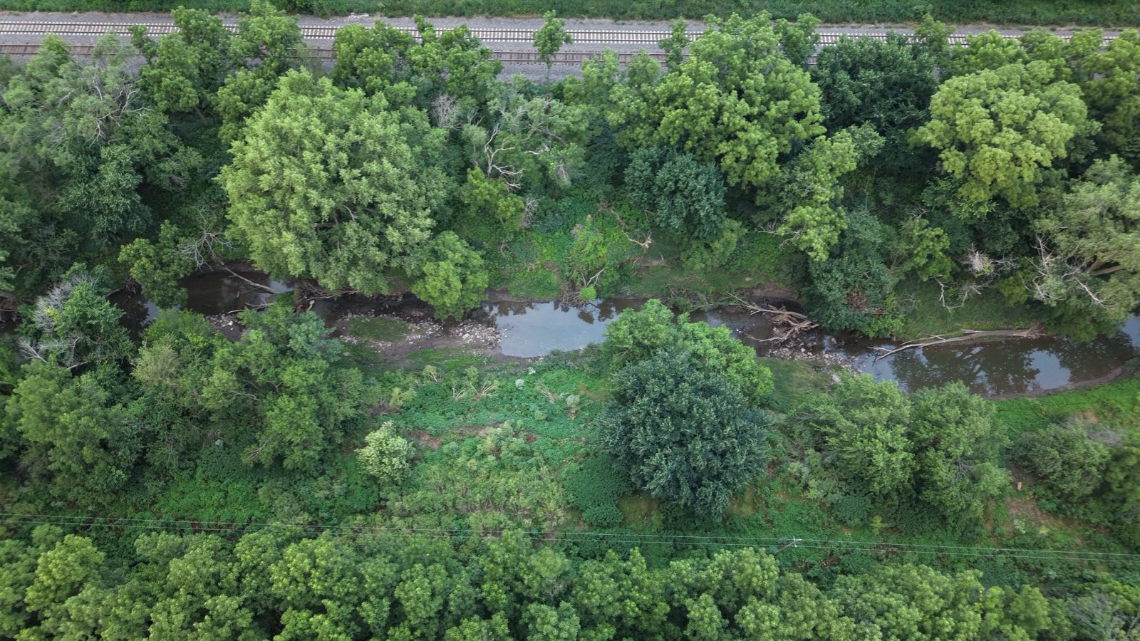 Top-down aerial of a creek winding between tree lines beside a rail corridor