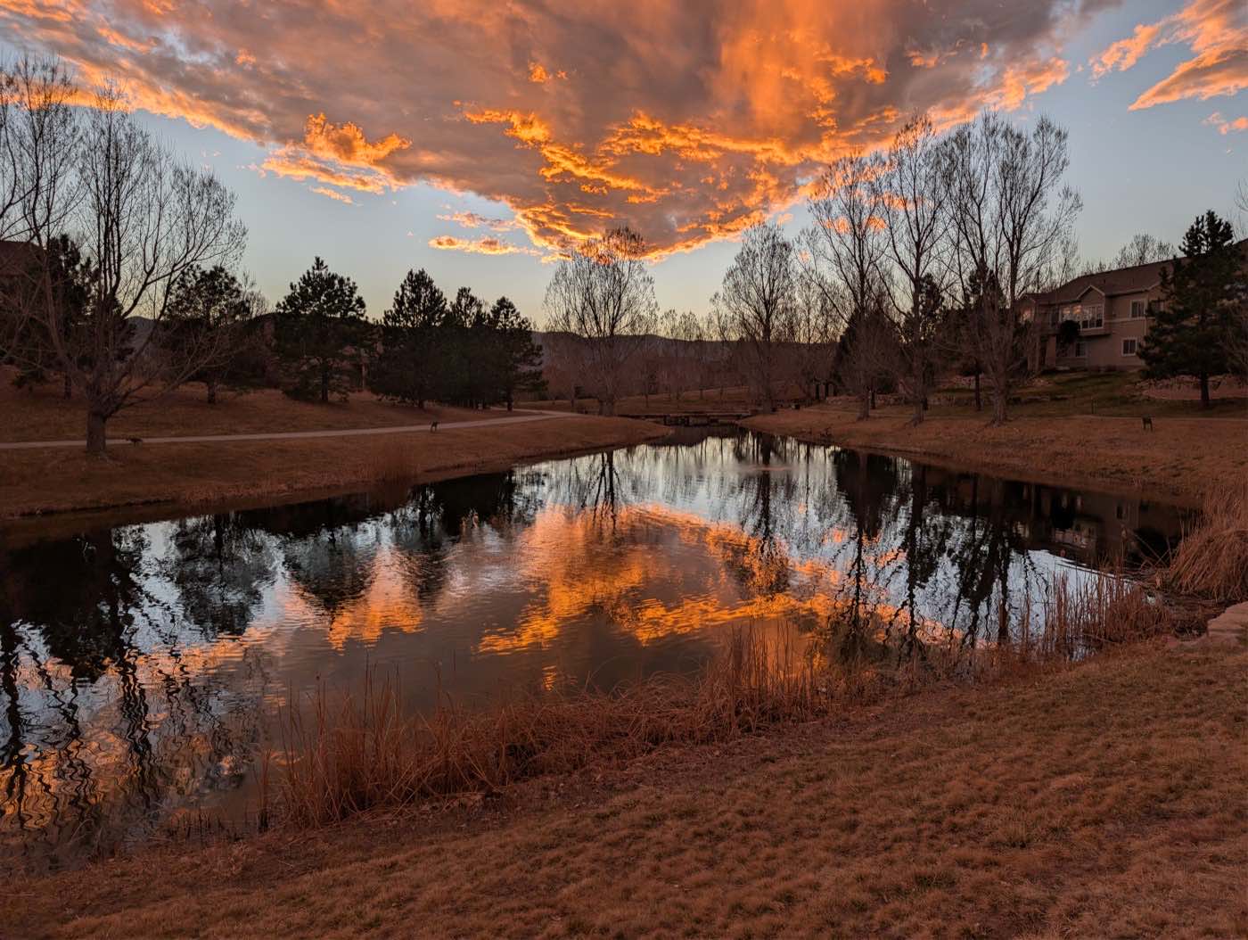 Golden-hour sunset reflected in a still pond ringed by trees